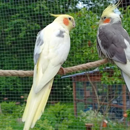 Haus Bindseil - Im Eg, Rechts *