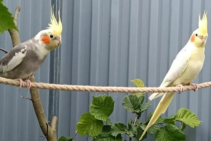 Haus Bindseil - Im Eg, Rechts Апартаменты Альтенау