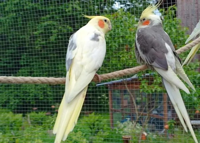 Haus Bindseil - Im Eg, Rechts *